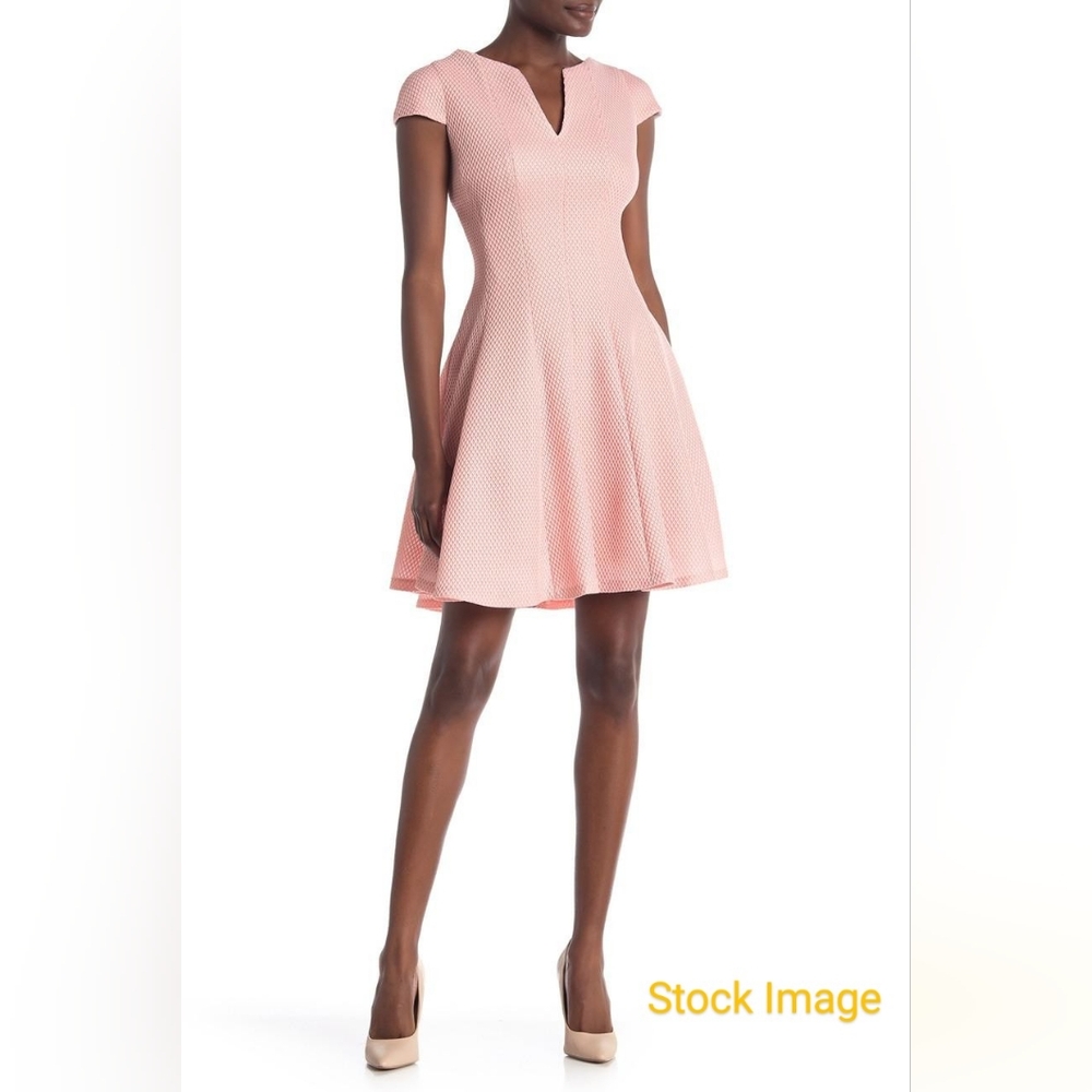 Julia Jordan Pink Skater Flare Dress with Cap Sleeves Size 6